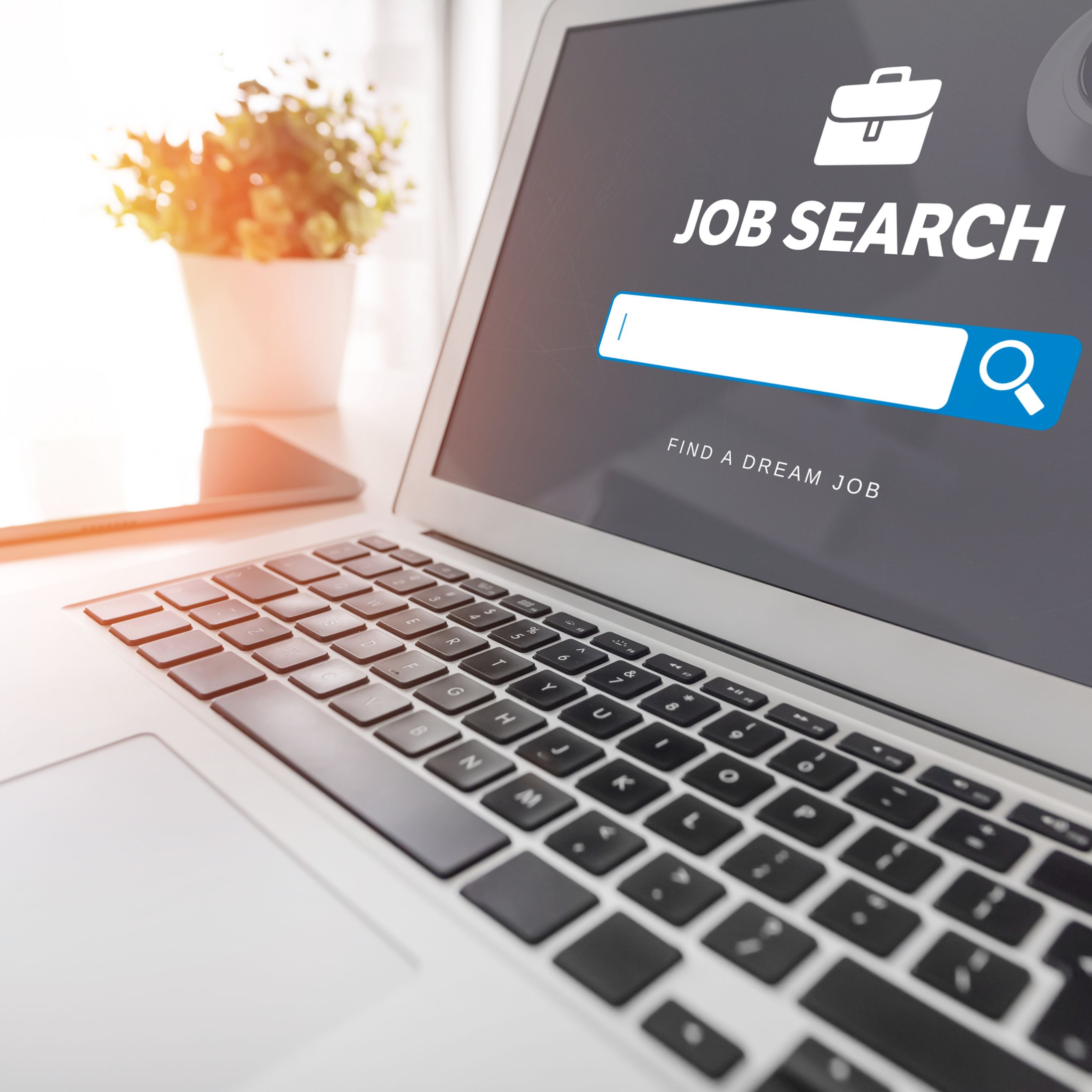 online-job-search-and-applications-taster